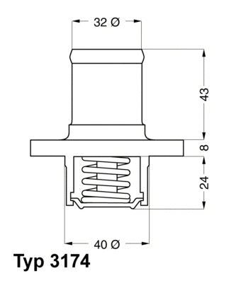 Thermostat, coolant (3174.89D)