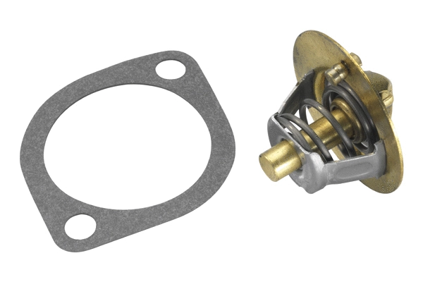 Thermostat, coolant