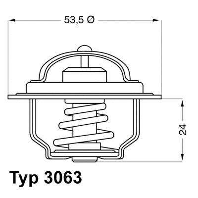 Thermostat, coolant (3063.75)