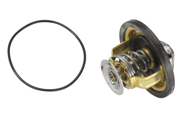 Thermostat, coolant