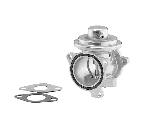 EGR Valve (7271D)