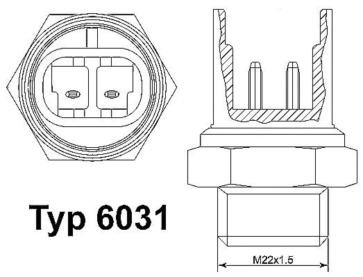 Temperature Switch, radiator fan (6031.92D)