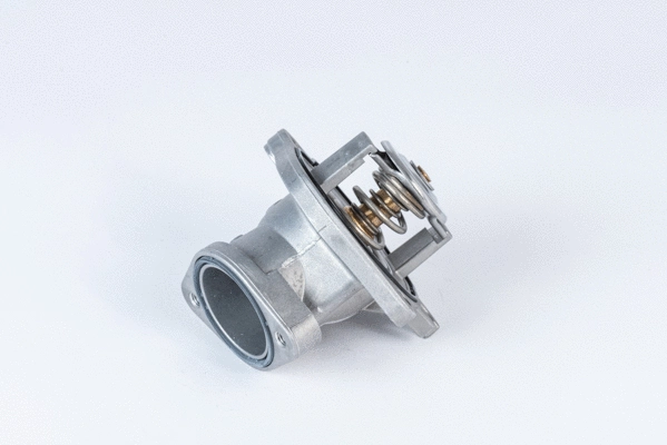 Thermostat, coolant (4832.87D)