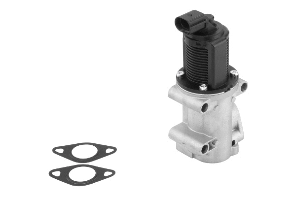 EGR Valve (710963R)