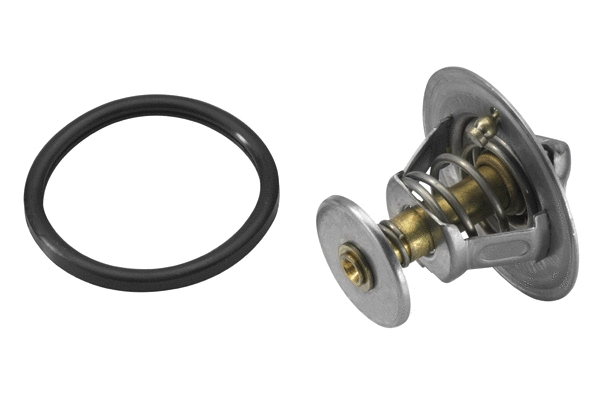 Thermostat, coolant