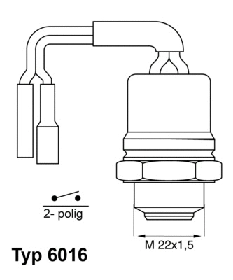 Temperature Switch, radiator fan (6016.92)