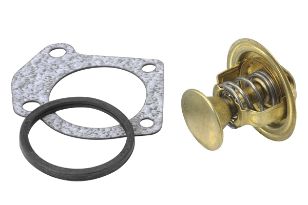 Thermostat, coolant