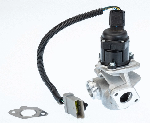 EGR Valve (710936D)