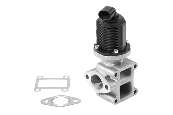 EGR Valve (710954R)