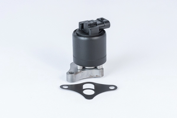 EGR Valve (710961R)
