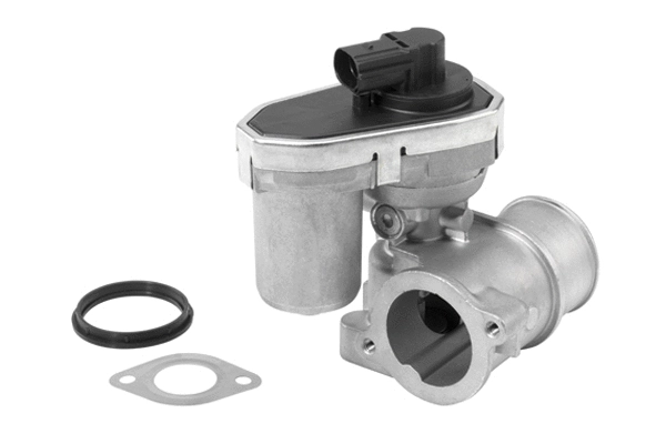 EGR Valve (710942R)