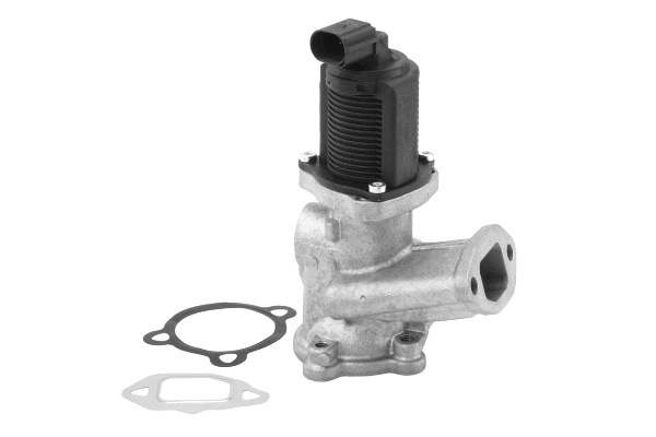 EGR Valve (710958R)