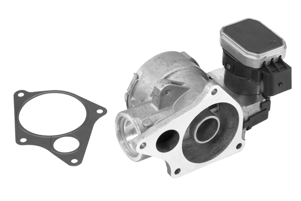 EGR Valve