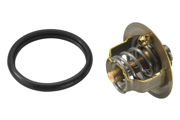Thermostat, coolant