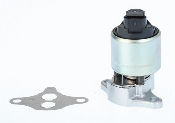 EGR Valve (711033D/1)