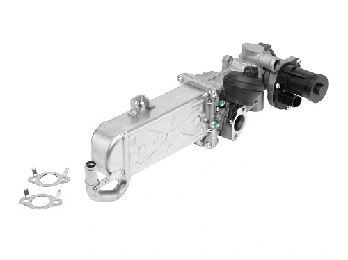 EGR Module (710861R)