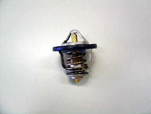 Thermostat, coolant (410179.84D)