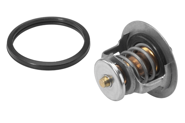 Thermostat, coolant (411545.82D)