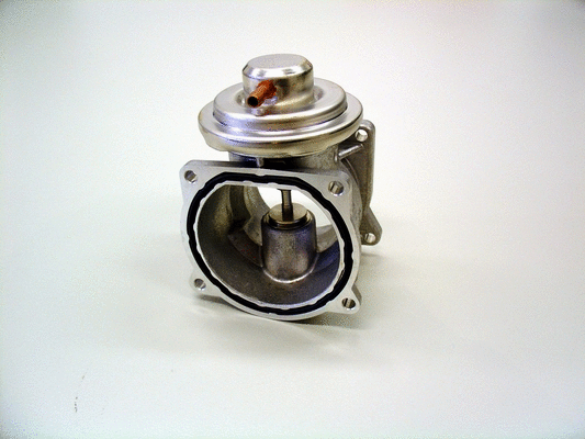 EGR Valve (7268D)