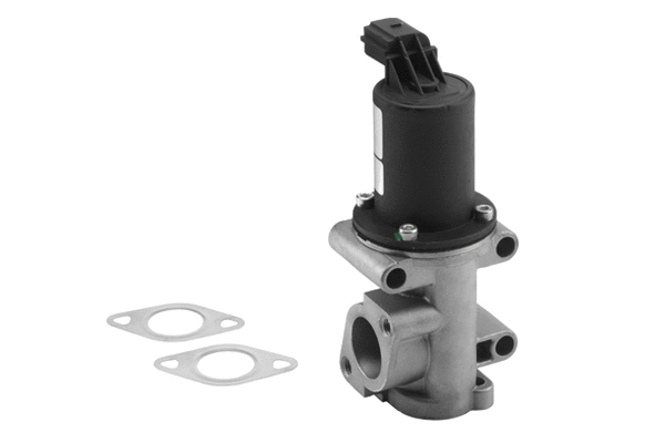 EGR Valve (710960R)