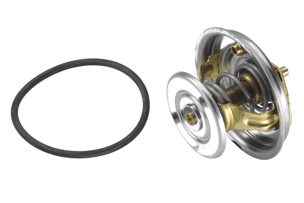 Thermostat, coolant (4078.71D)