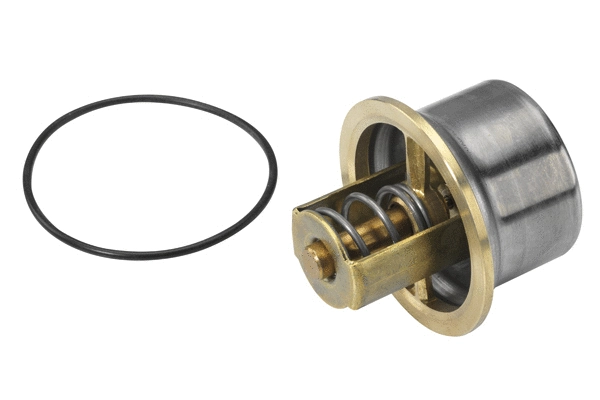 Thermostat, coolant