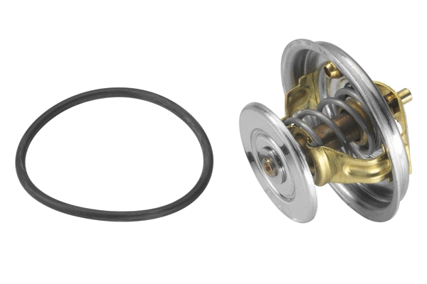 Thermostat, coolant (4078.79D)