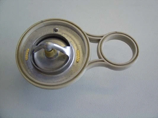 Thermostat, coolant (410263.91D)