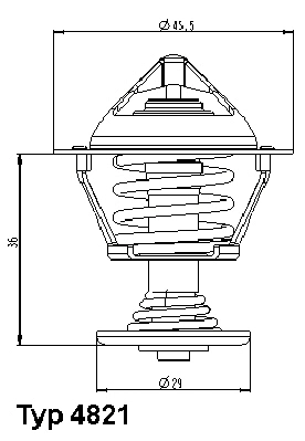 Thermostat, coolant (4821.89D)