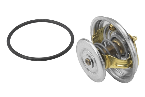 Thermostat, coolant (4078.65D)