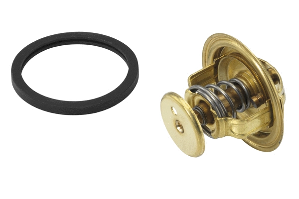 Thermostat, coolant