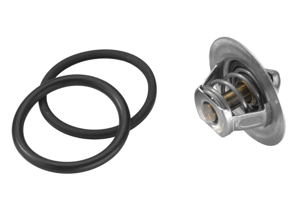 Thermostat, coolant