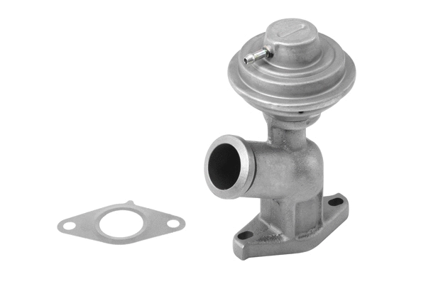 EGR Valve (710922R)