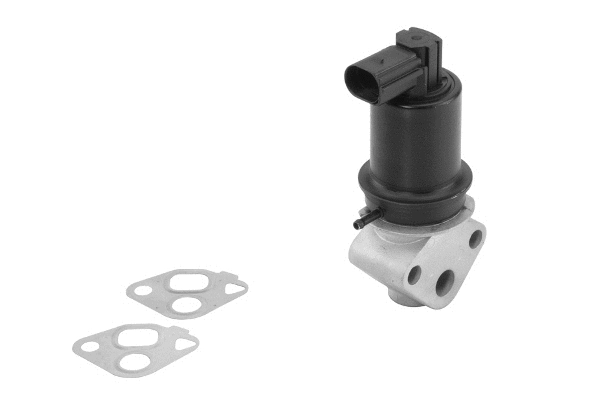 EGR Valve (710778D0)