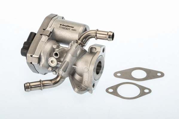 EGR Valve (711023D/1)