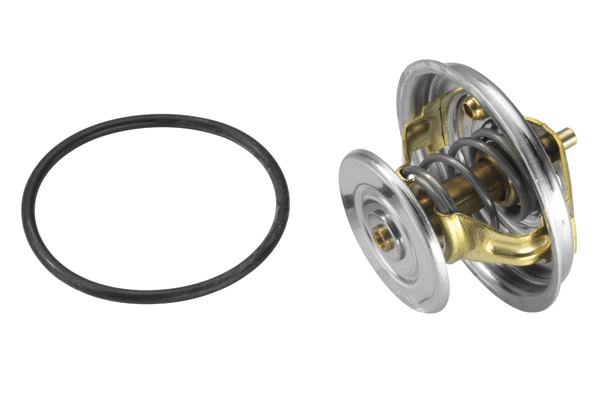 Thermostat, coolant (4078.92D)