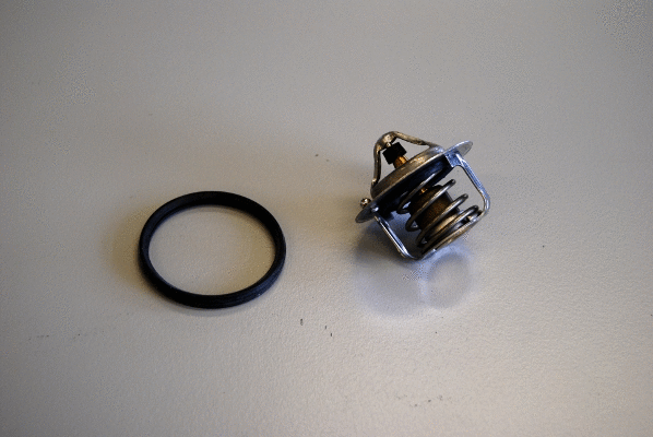 Thermostat, coolant (411241.82D)