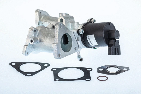 EGR Valve (710966R)