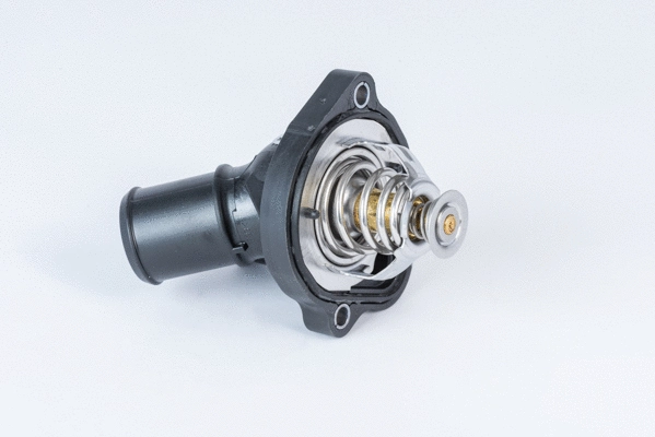 Thermostat, coolant (411886.82D)
