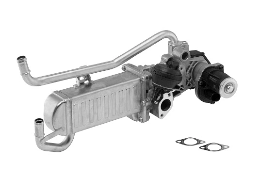 EGR Module (710863D)