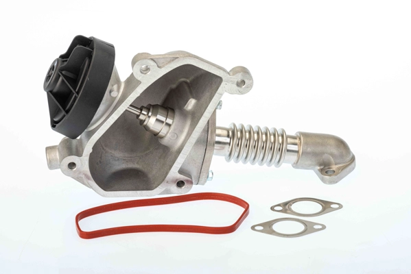 EGR Valve (7206D)