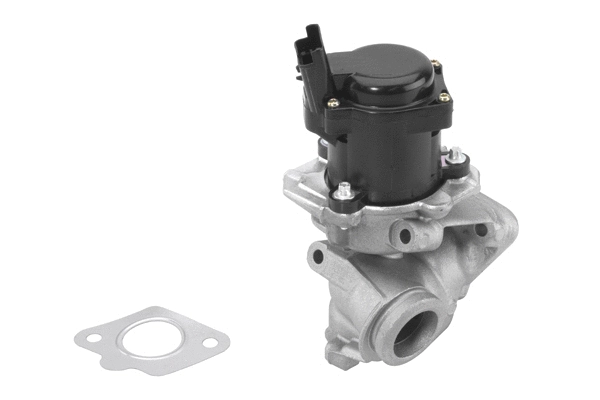 EGR Valve (710929R)