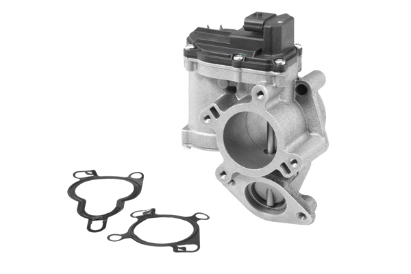 EGR Valve (710945R)