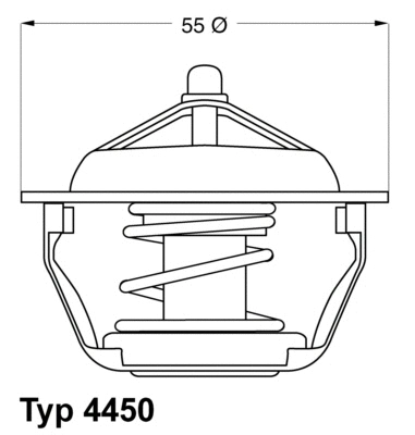 Thermostat, coolant (4450.89D)