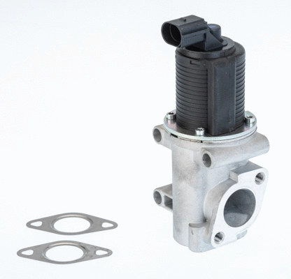 EGR Valve (710774D)