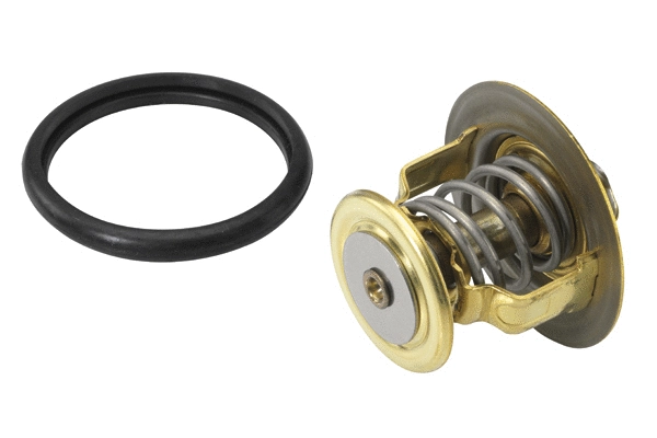 Thermostat, coolant (410131.88D)
