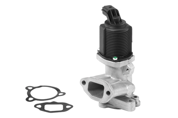 EGR Valve (710949R)