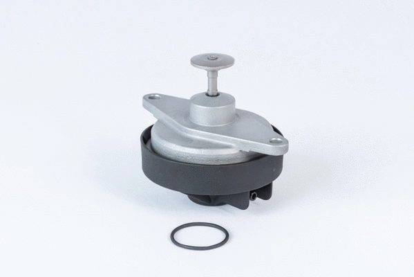 EGR Valve (710920R)