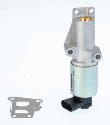 EGR Valve (711026D/1)