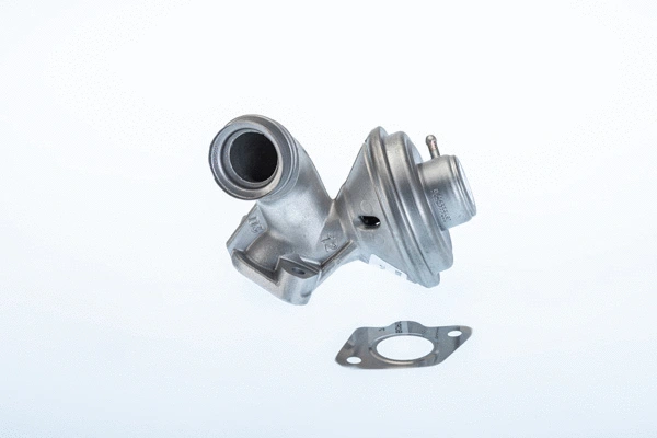 EGR Valve (710973R)